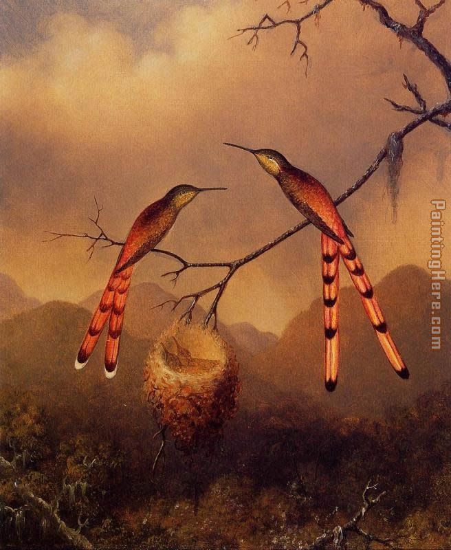 Two Hummingbirds with Their Young painting - Martin Johnson Heade Two Hummingbirds with Their Young art painting